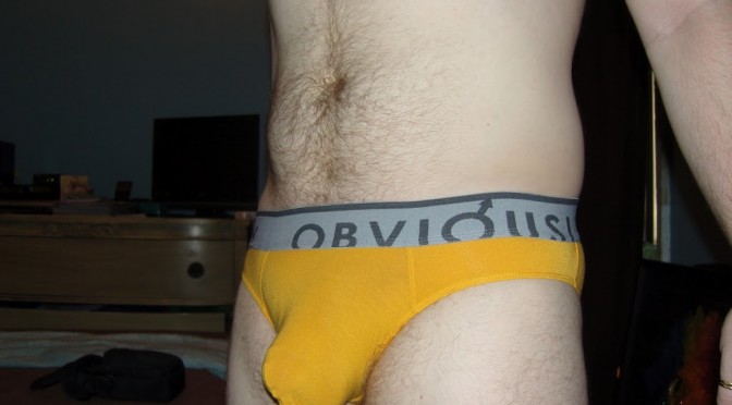 Day 35 – Yellow Obviously No Show Briefs