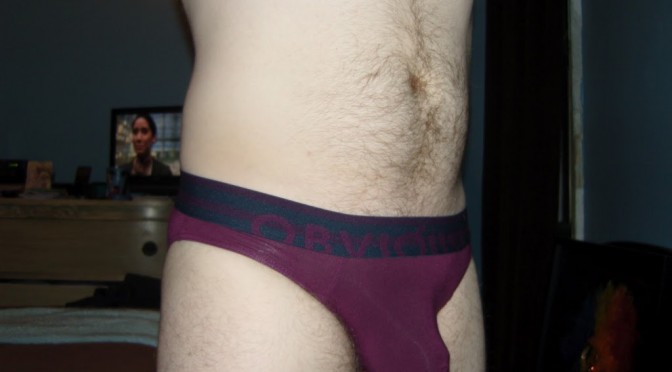 Day 42 – Maroon 5, no…I mean Maroon Obviously Low Rise Briefs