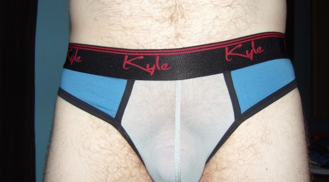 Day 76 – Kyle Athletic Mesh Briefs