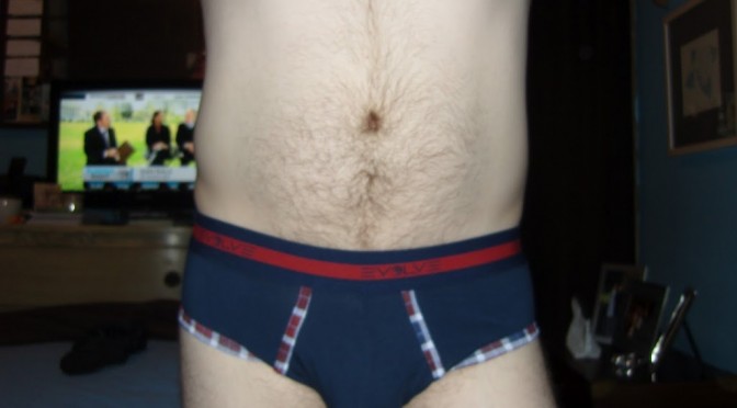 Day 86 – Blue and Red Plaid Evolve by 2xist Briefs