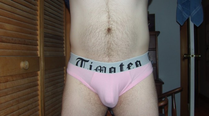 Day 223 – Pink Timoteo Super Low Rise Briefs