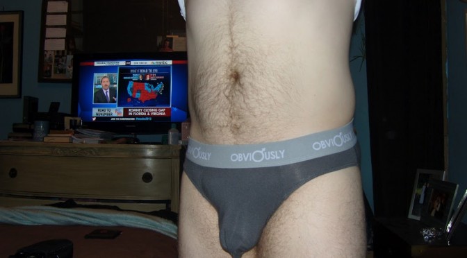 Day 276 – Obviously Grey Low Rise Briefs