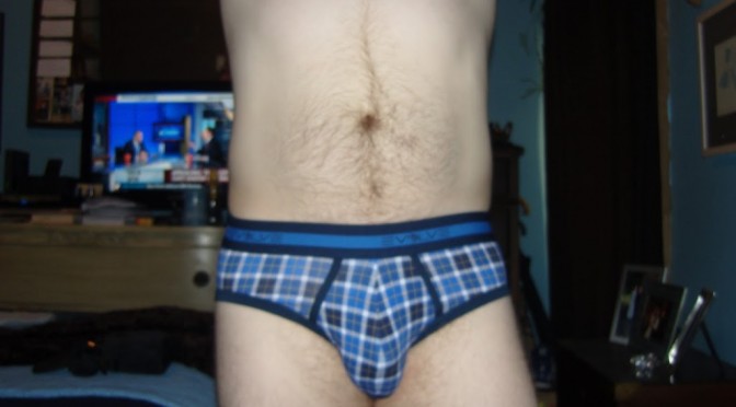 Day 289 – Blue Plaid Evolve by 2xist Briefs