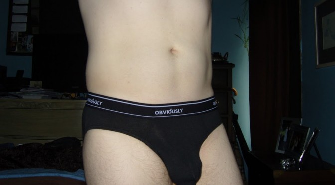 Day 384 – Black Obviously Briefs