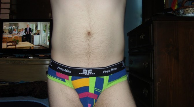 Day 451 – Blue Multi-colored Patterned FreeMen Briefs