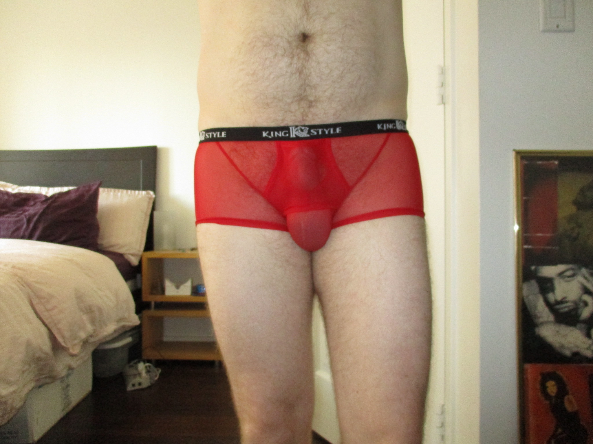 KingStyle Series C – Red Mesh See Through Boxer Brief Review